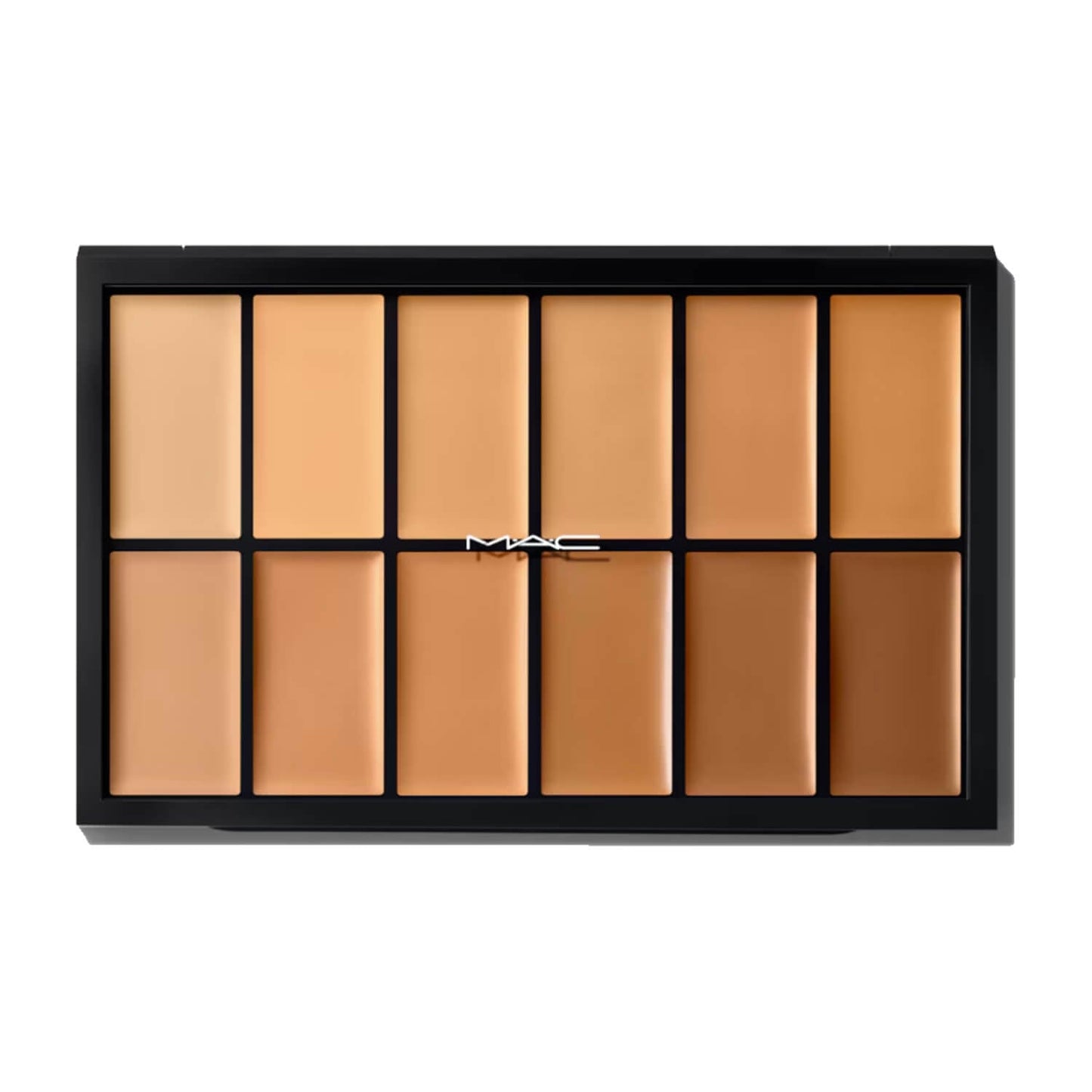 MAC Pro Full Coverage Foundation Palette