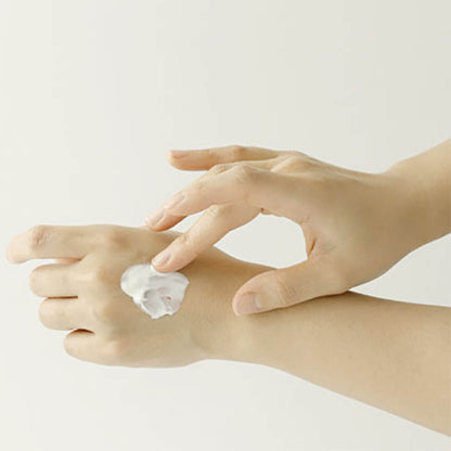 Beauty of Joseon Relief Sun Rice + Probiotics SPF50+ Mini